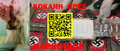 молекула духа Камышлов