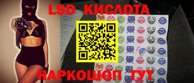 молекула духа Камышлов