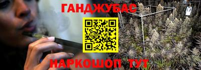 молекула духа Камышлов